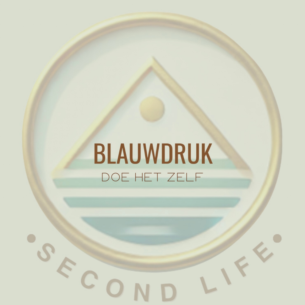 60 Plus Second Life