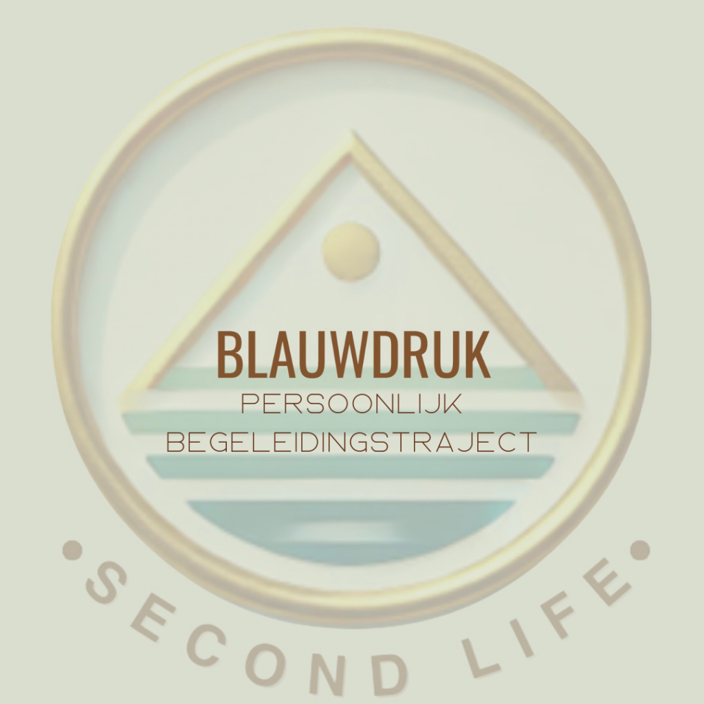 60 Plus Second Life